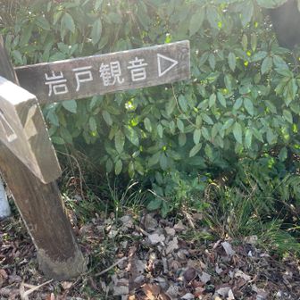 頂上を下って西回り登山道へ