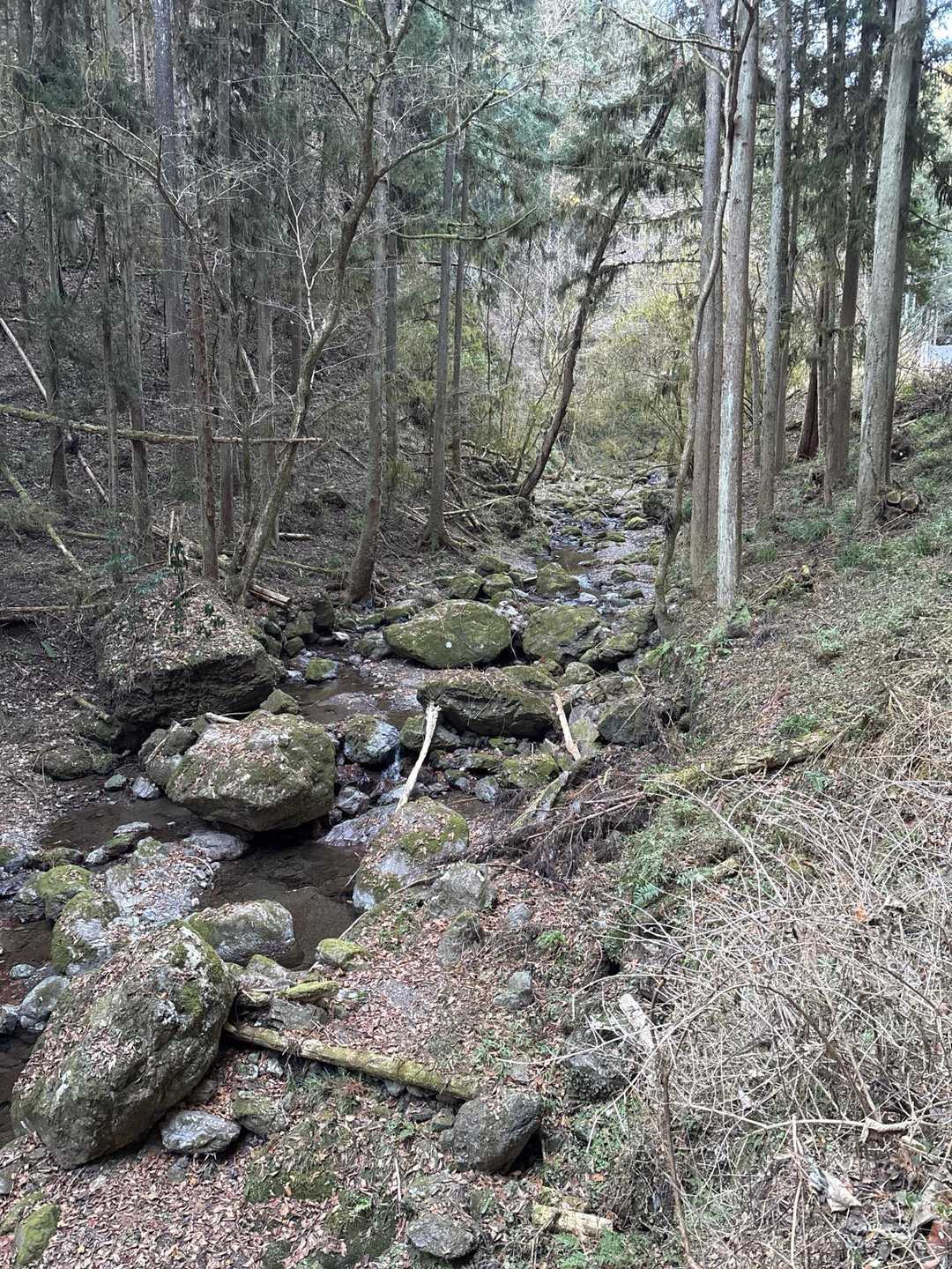 今日もほとんど関東ふれあいの道で歩きやすい🎶