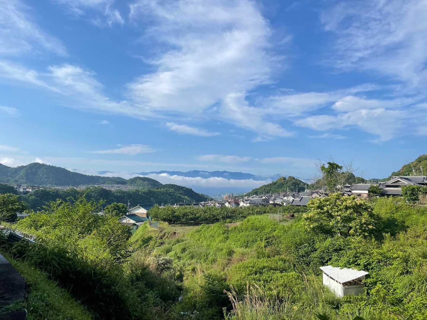 遠くに雲海が！