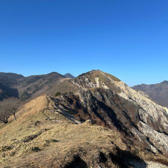 ビクトリーロード