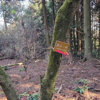 ピーク2　高尾山