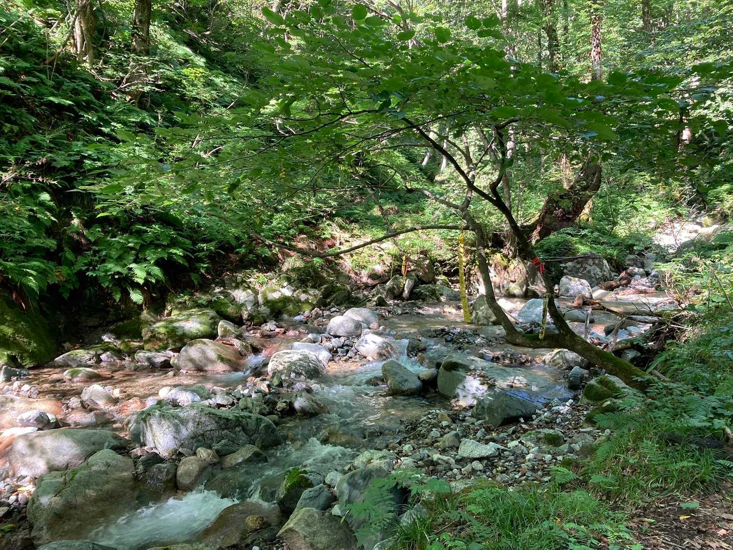 ３つ目の沢の渡渉