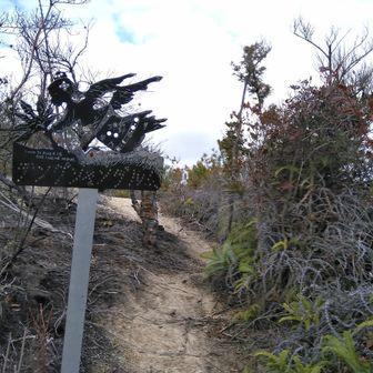 山火事の跡が残って居ます‼️