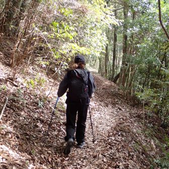 トラバース路のトレッキングも練習