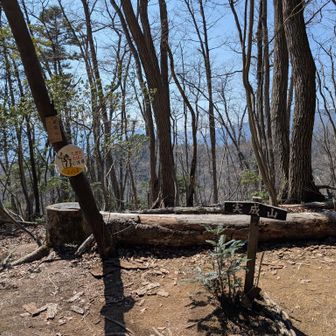 ここは眺望なし。