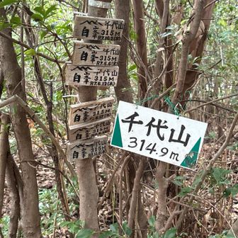 五月山山頂