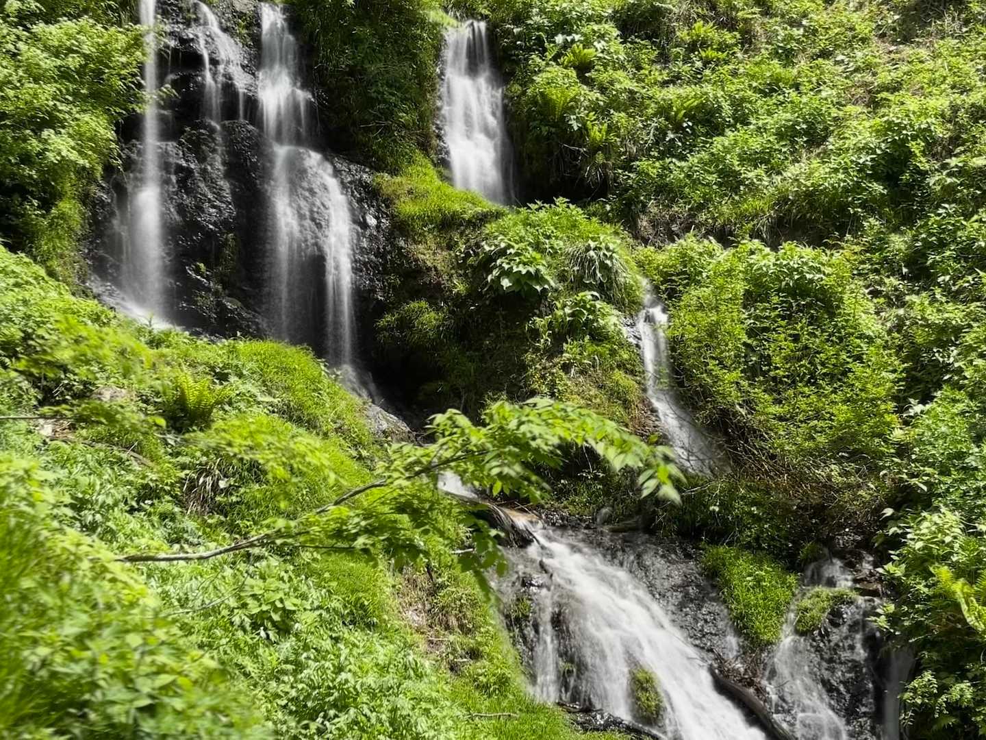 水量多く迫力がありました💦