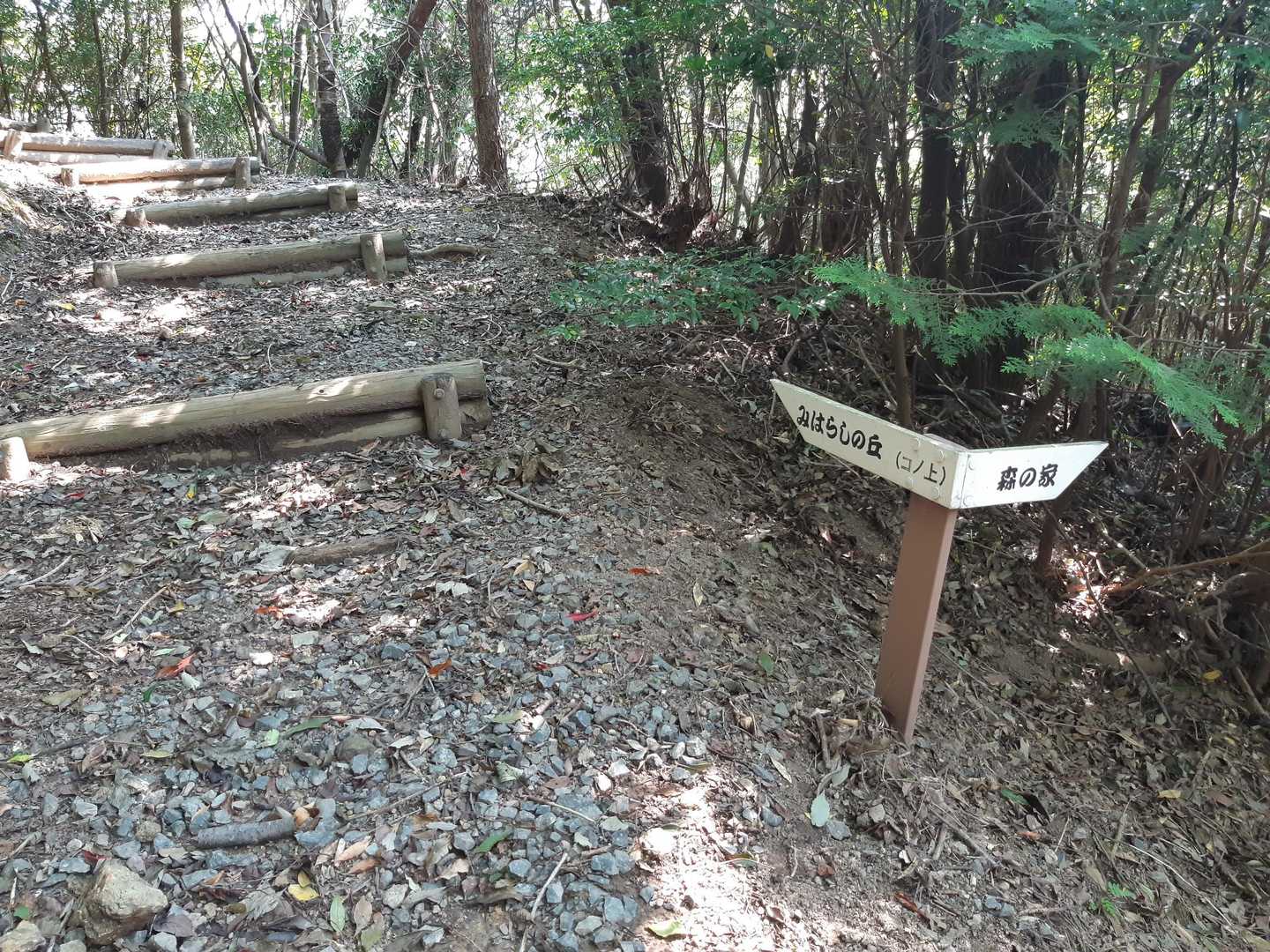 見晴らしの丘🤔
階段、がんばろ〜💪