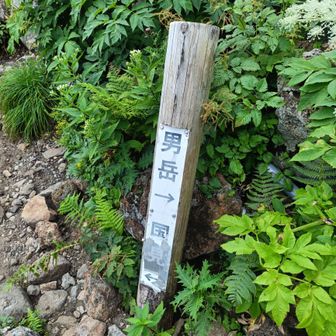 分岐に到着