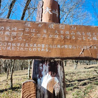 雁が腹を摺る如く越える山
ネーミングセンス抜群👍️