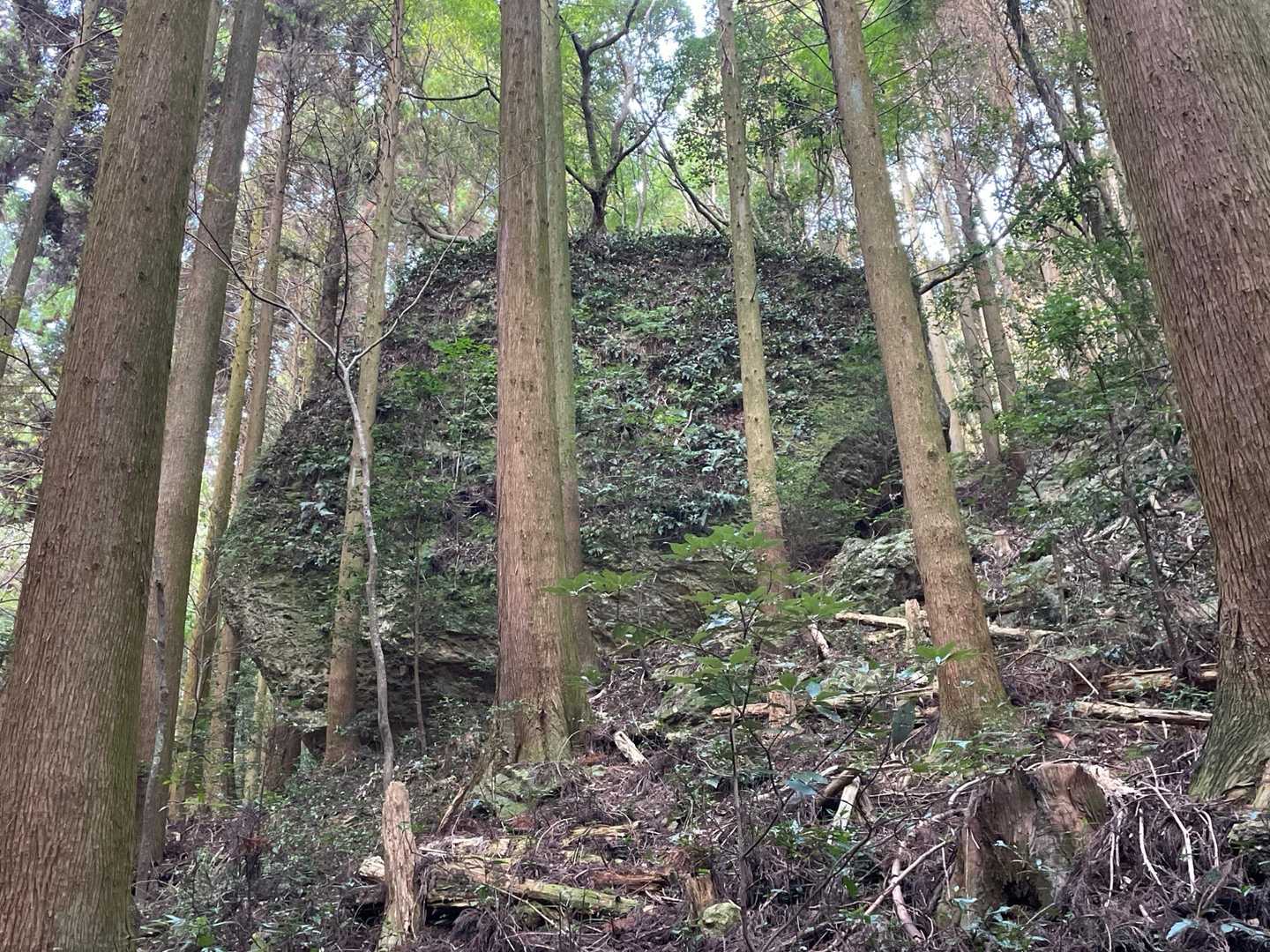 巨岩。