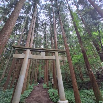 登山開始　長い階段が見えます。