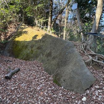 一度通りすぎた登山口..ここを登れと？？