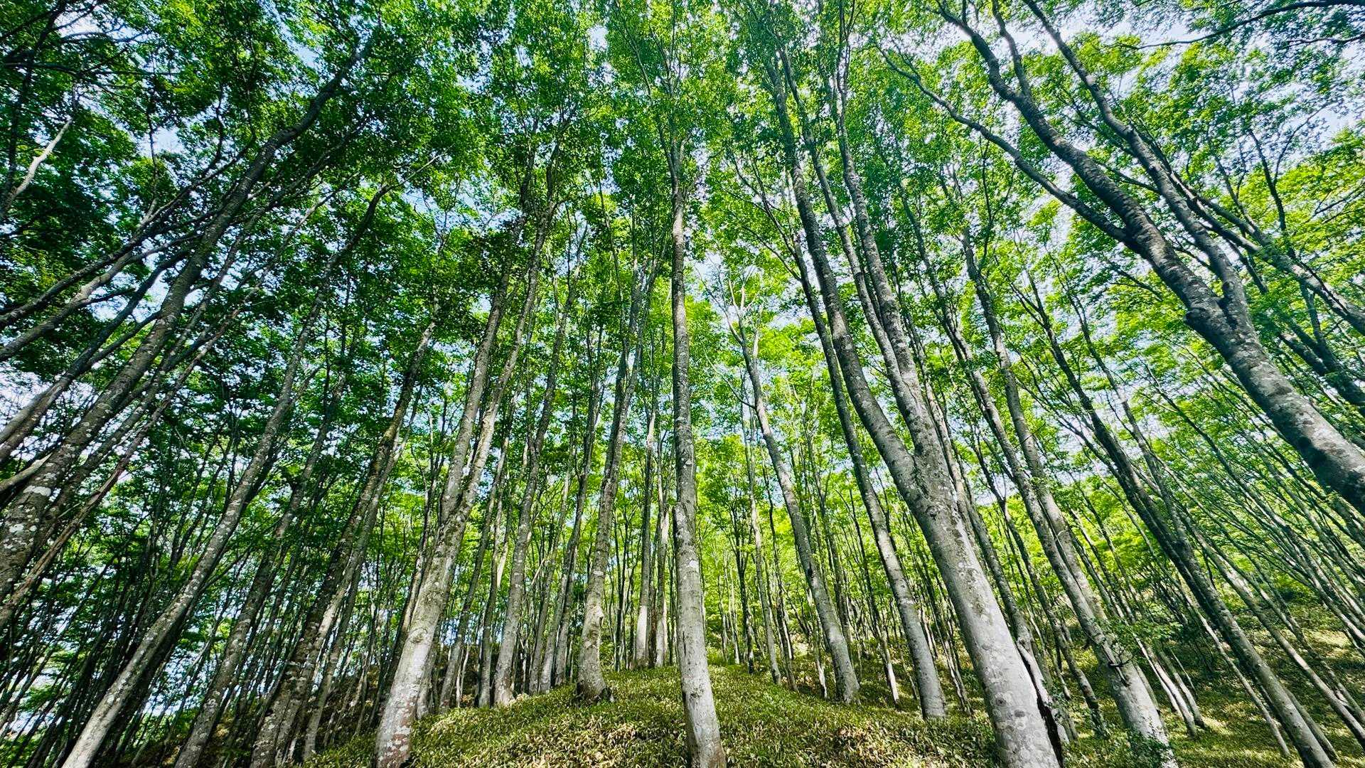 ここ好き❤️ここ山頂でいいわぁと思ってしまう