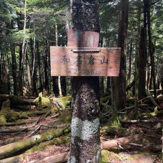 標高は2036m。10年後（2036年）は登れるだろうか…。
