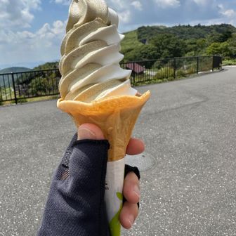 の前にほうじ茶mixソフトクリーム🍦🎶