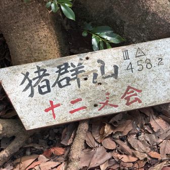 到着〜
ストーンサークルは山頂から少しはずれ