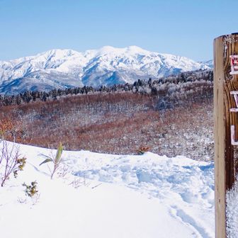 山頂‼️
正面に見えている木々には
霧氷がついてる様に見えますね。

山頂標識が全然埋まってません。
まだ雪が少ないのが分かりますね。

いつもより視点が2mは低い気分。