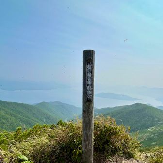 藻琴山頂上に着きました🙌
羽虫が沢山飛んでました💦
