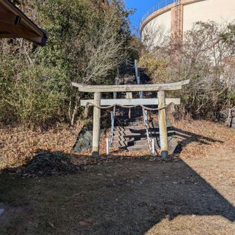 ここに降りてきた