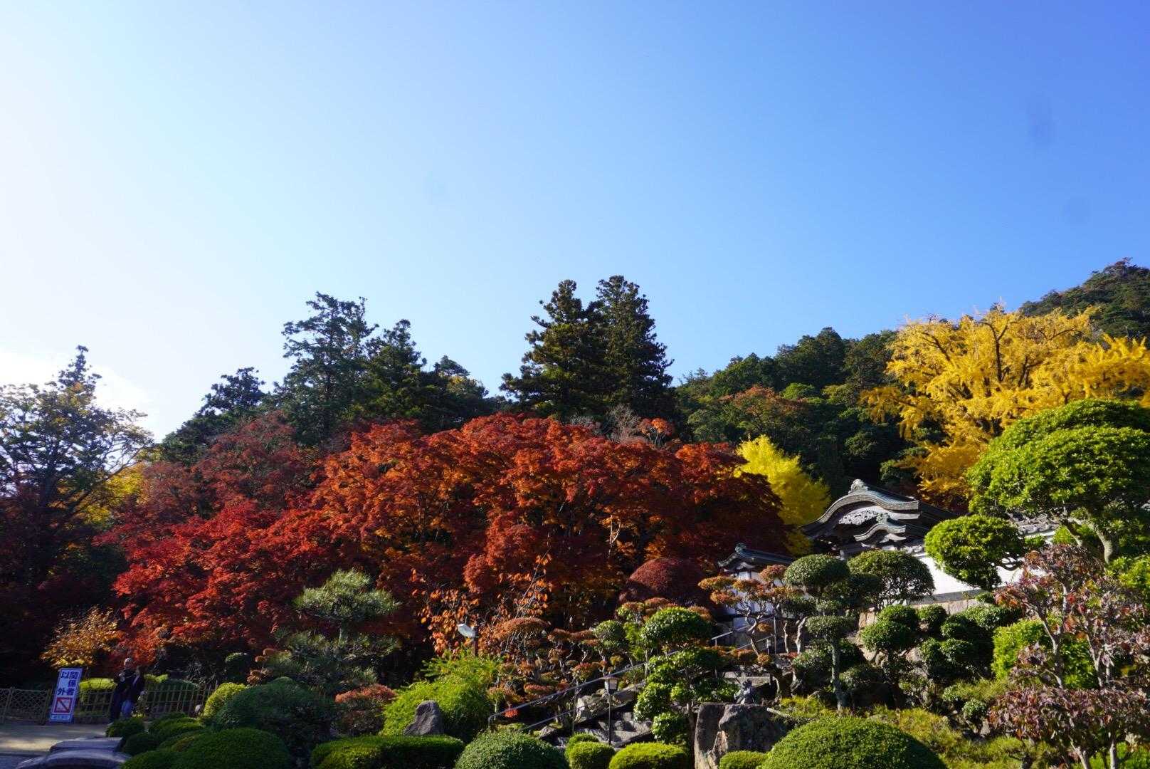 ぐるりんして大窪寺へ戻りました🎊