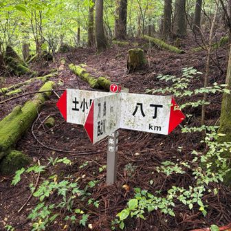 十字峠