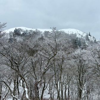 武奈山頂の人が見える❗️まだ体力気力も残ってるし、ここまで来たらアタックしよう