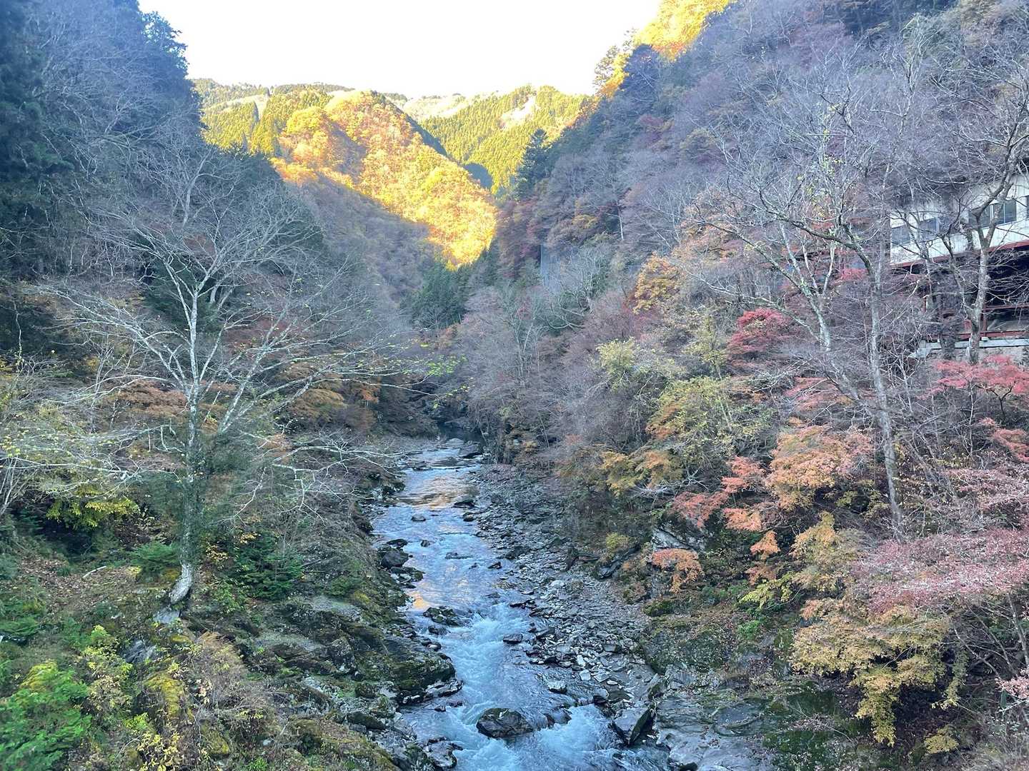 美しいです。