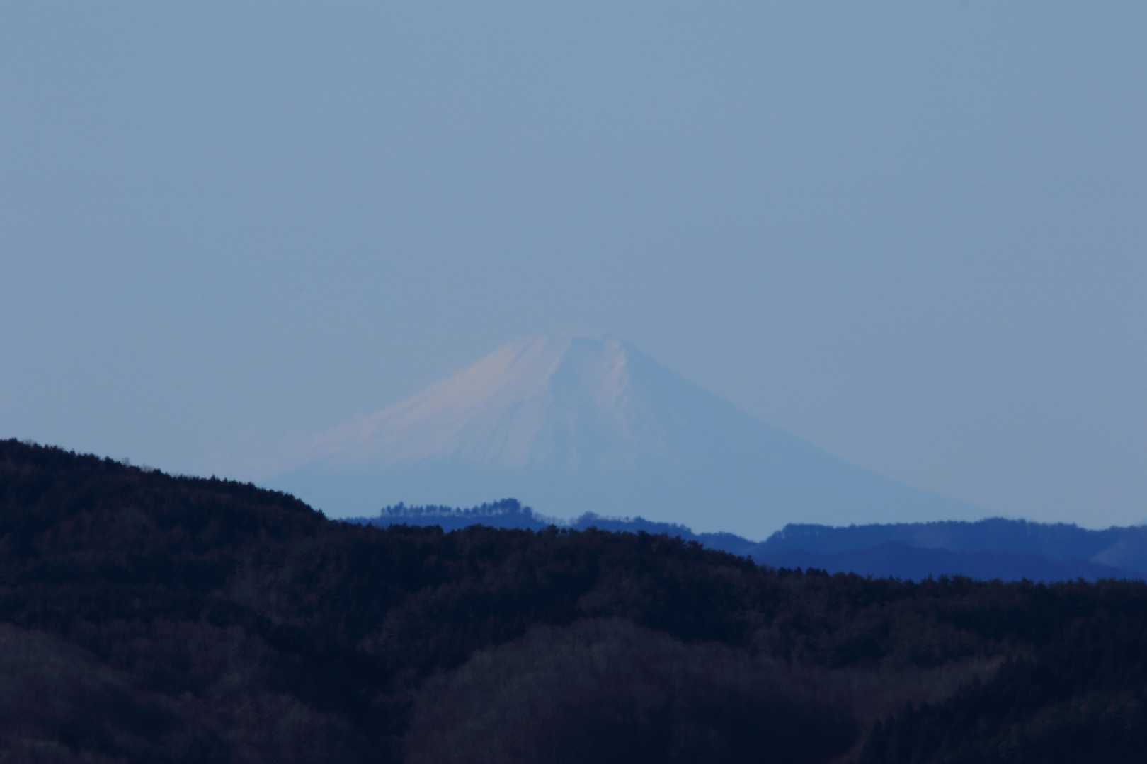 望遠レンズでズームイン