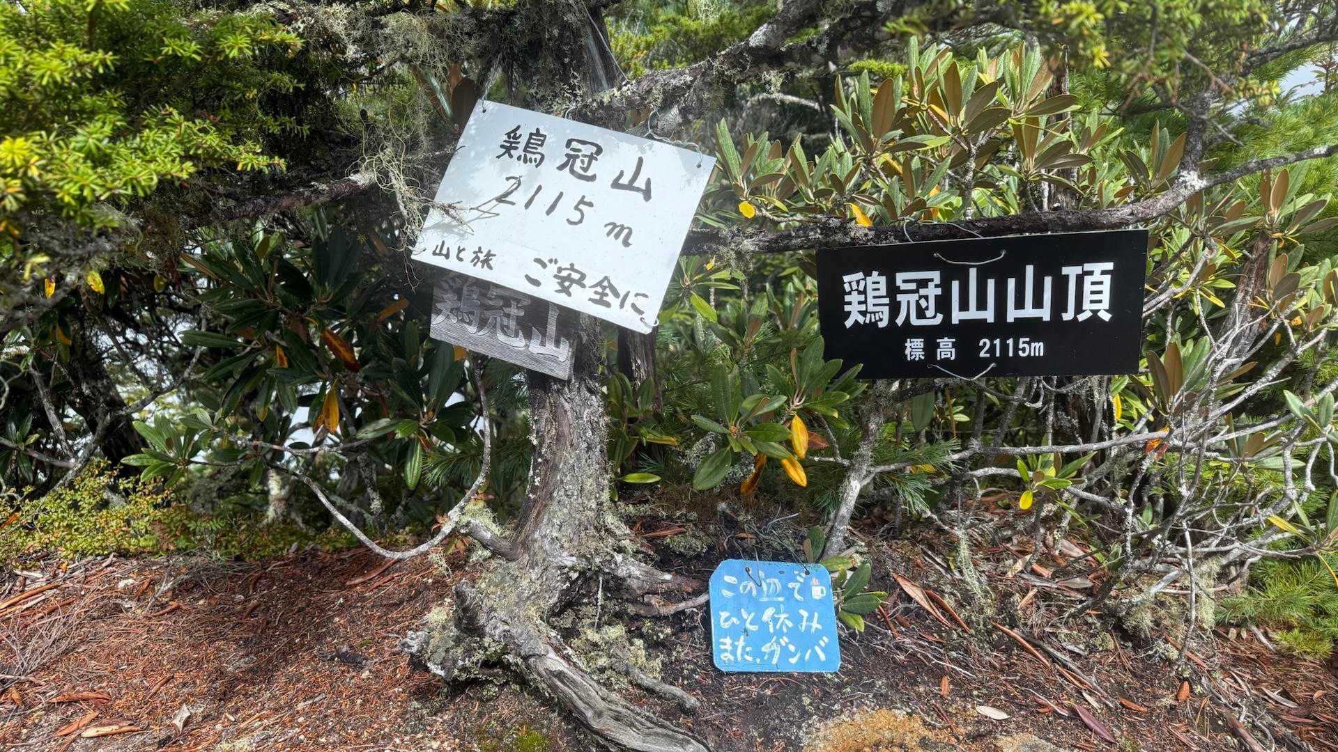 こっちがYAMAPの山頂