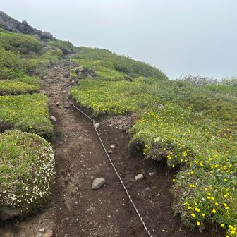 倶知安コースで下山します