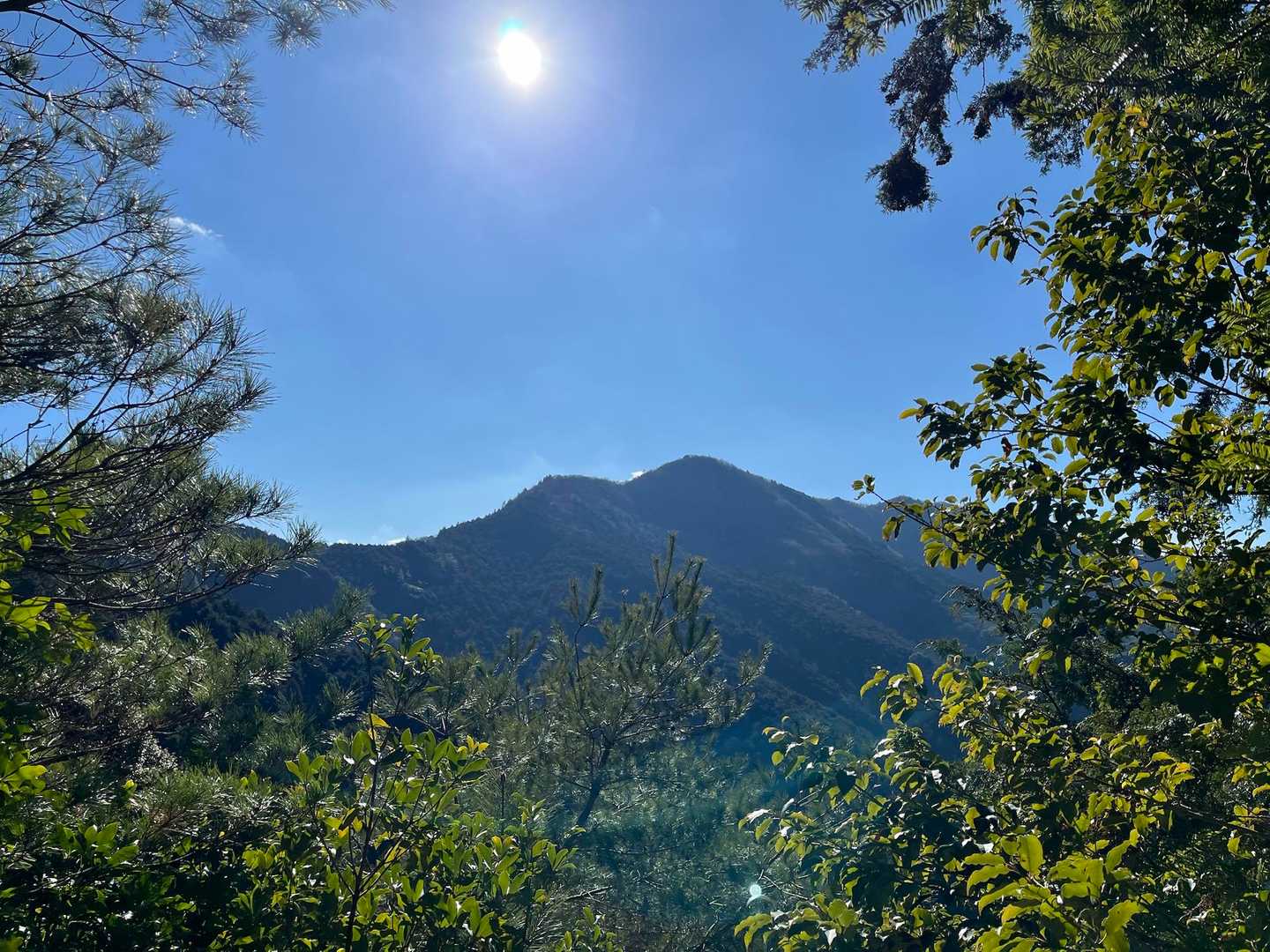 七洞岳✨