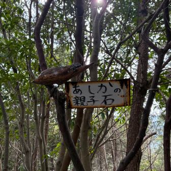 更にオブジェも😁