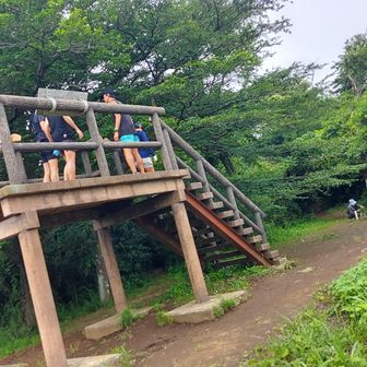 トレランの方が多い
散歩で来ている女性もいました

ここから高塚山へ向かいます
