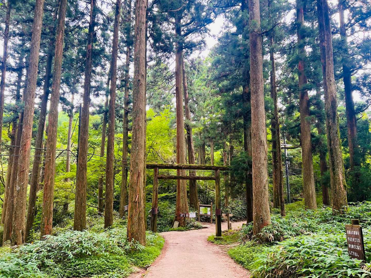 
　　　　　そして、金剛山へ·͜·ᰔᩚ