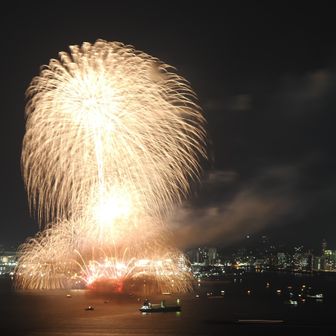 花火のフィナーレ　素晴らしいの錦冠(にしきかむろ）