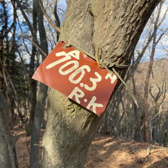 ピークだが名前が分からず。