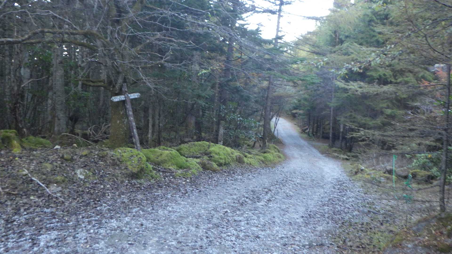 相変わらずここまでの悪路度合いは凄いな～🚙💨