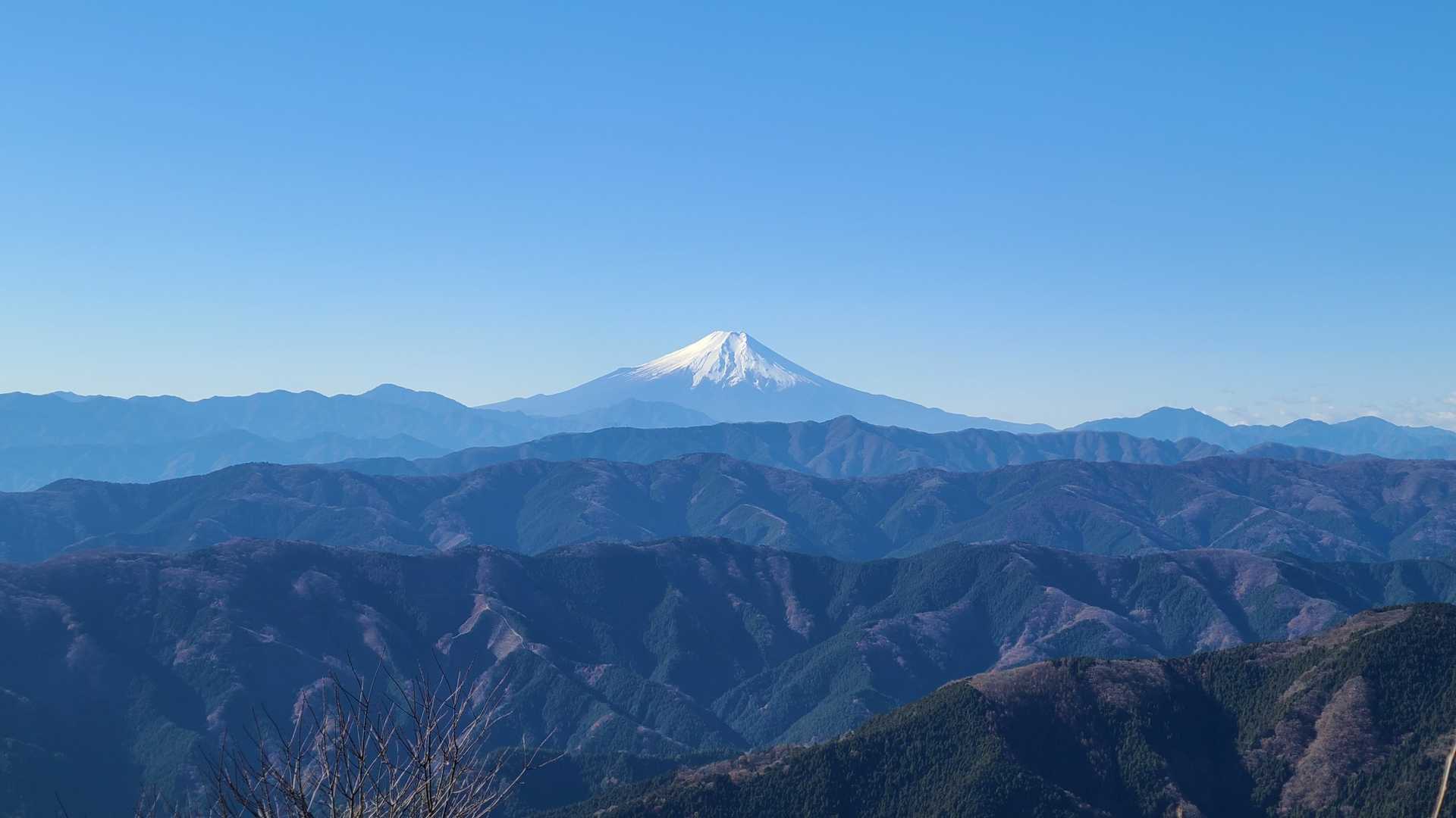 おお…。（素晴らしすぎて言葉が出ない。）