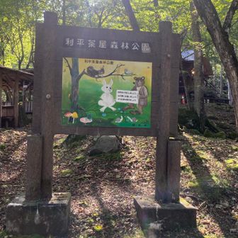 カンガルーにも、今話題の🐻にも見える不思議な動物にDOMOの不満が爆発

どっちかにしてよ😤