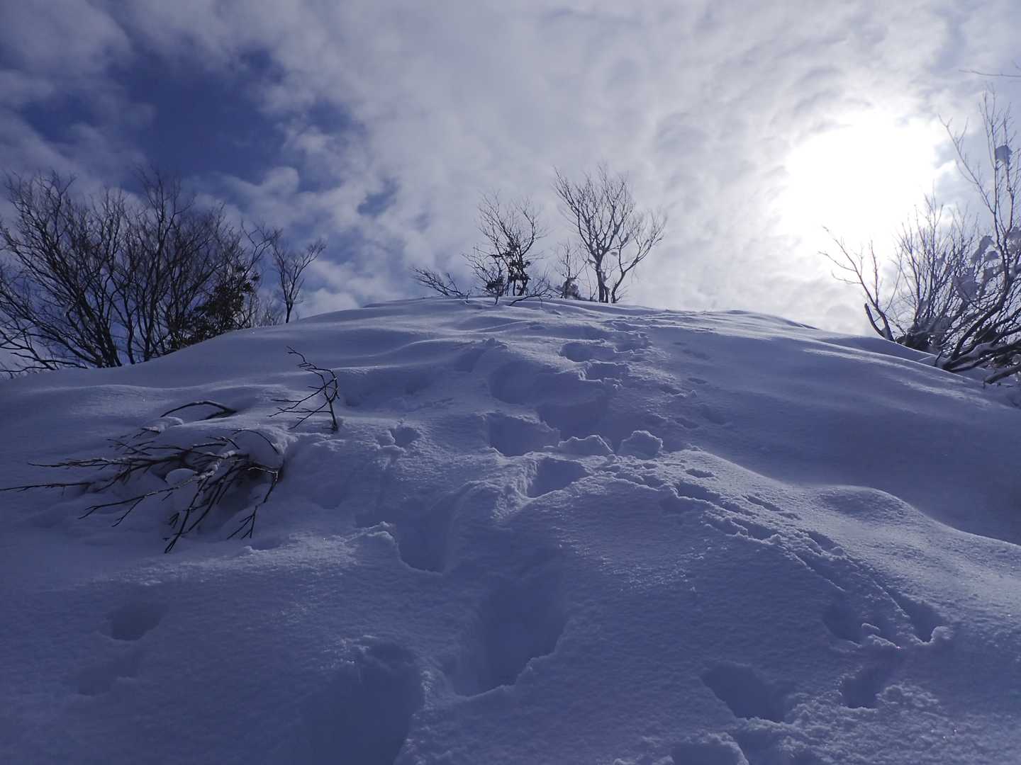 中部北陸自然歩道登山口-南保富士-二王山 往復コースの写真