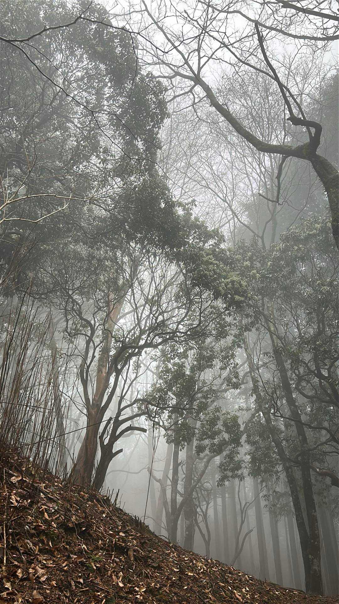 樽峠登山口-樽峠-高ドッキョウ 往復コースの写真