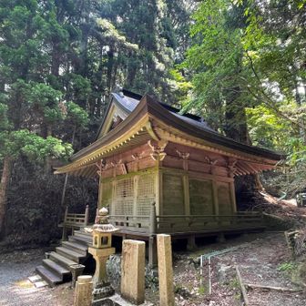 清不動🙏