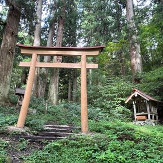 鳥居をぬけて、いよいよ登山道💪