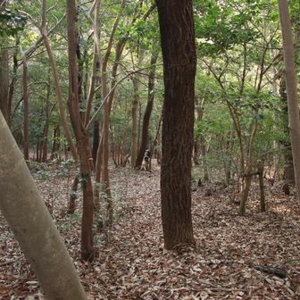 スライドした年輩の夫婦が降っていかれる
