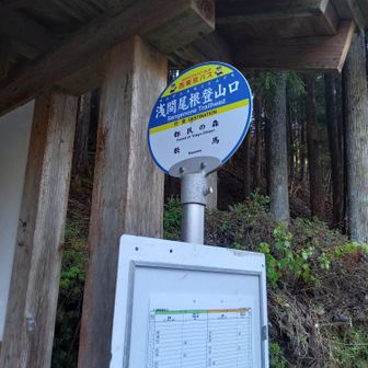 都民の森へ行くバスは今日までで、駆け込みセーフだった。(12/1～3/31は冬季運休)バス２台出たけどガラガラでした