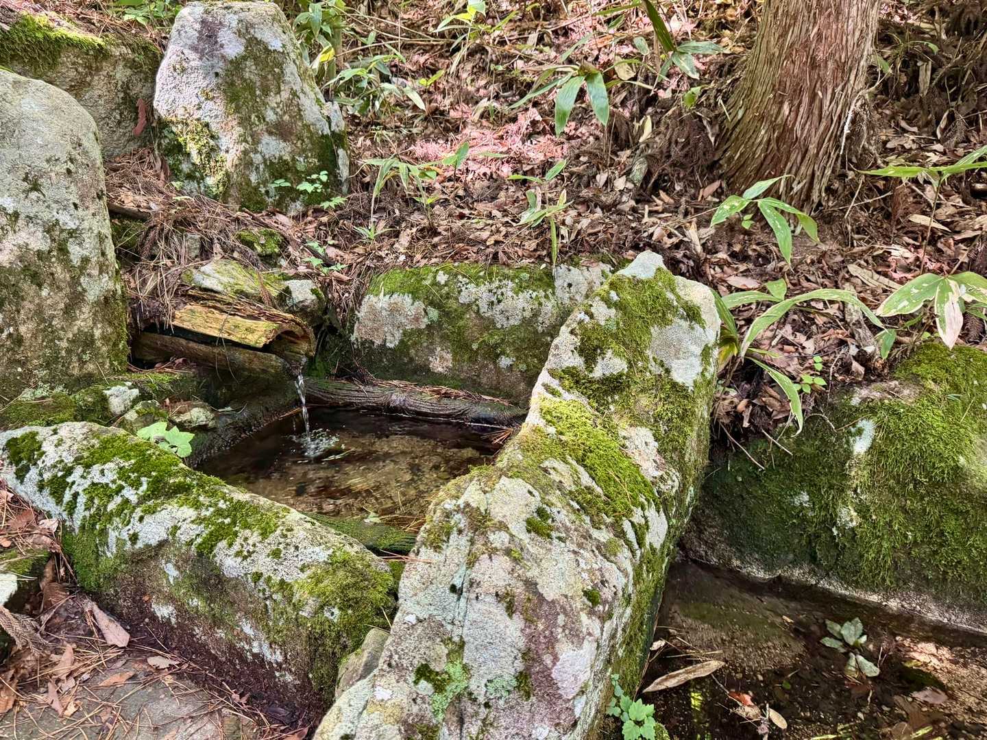 あ、水流れてたんだ。。