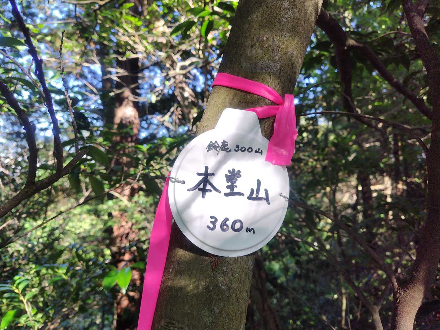 本堂山に到着～👏