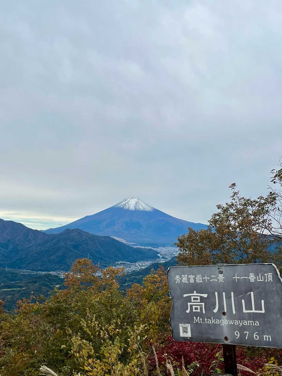 高川山 往復コースの写真