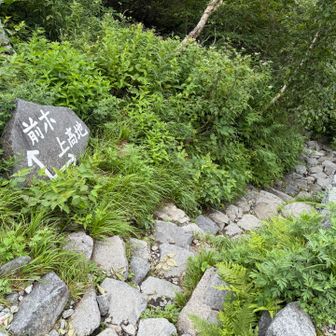 上高地までは平和な道のはず
